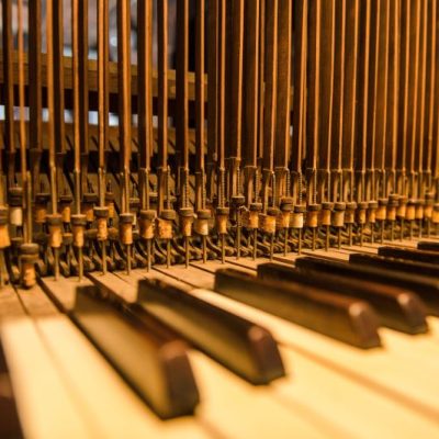 PA_Restaurierung Buckow-Orgel_04_2024_Bild 4_Fotostudio Wilke_klein
